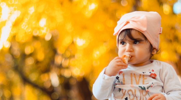 CARA MEMBIASAKAN ANAK AGAR MAKAN TERATUR